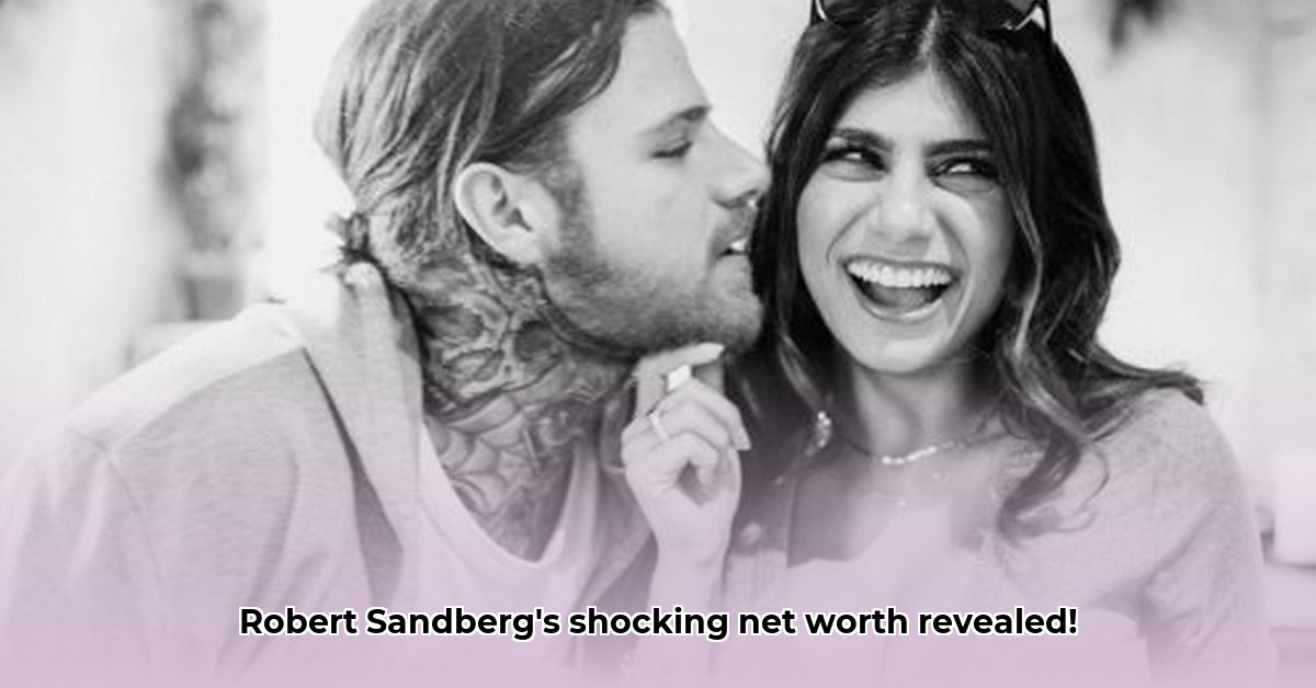 robert-sandberg-net-worth